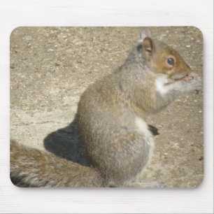 Eichhörnchen Hungry Horatio Mousepad