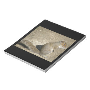 Eichhörnchen Hungry Horatio Notepad Notizblock