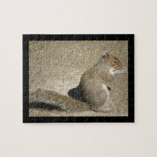 Eichhörnchen Hungry Horatio Puzzle