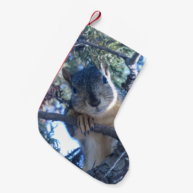 Eichhörnchen im Baum - Kleiner Weihnachtsstrumpf (Vorderansicht (hängend))
