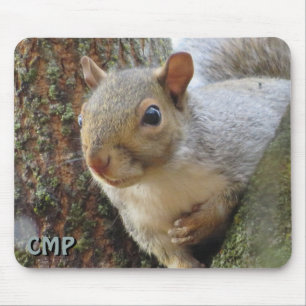 Eichhörnchen im Baum Mousepad