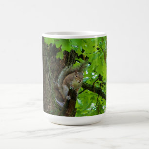 Eichhörnchen im Eichenbaum Natur Tasse