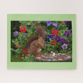 Eichhörnchen im Garten