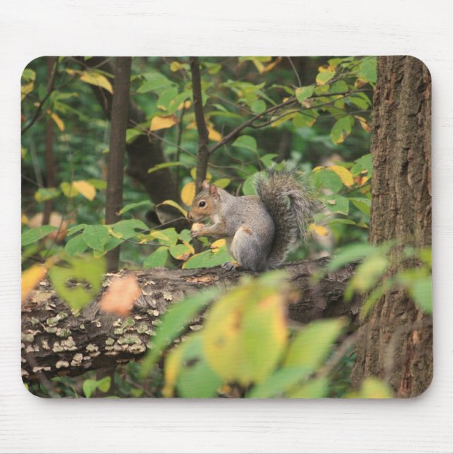 Eichhörnchen im Herbst Mousepad (Vorne)