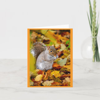 Eichhörnchen im Herbstlaub Grußkarte Karte