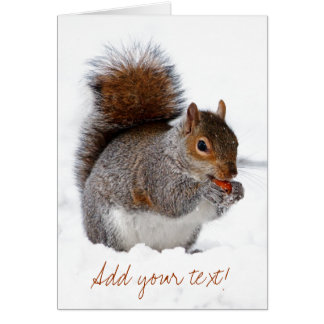 Eichhörnchen im Schnee