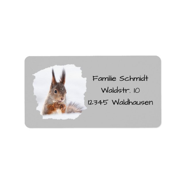 Eichhörnchen im Schnee - grau | Adressaufkleber (Vorne)