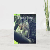 Eichhörnchen in Baumkunst Danke Karte