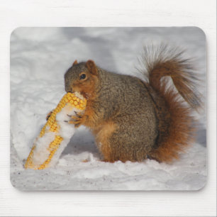 Eichhörnchen in der SchneeMausunterlage Mousepad