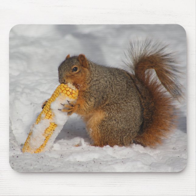 Eichhörnchen in der SchneeMausunterlage Mousepad (Vorne)