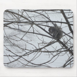 Eichhörnchen in der Schneemuseepad Mousepad