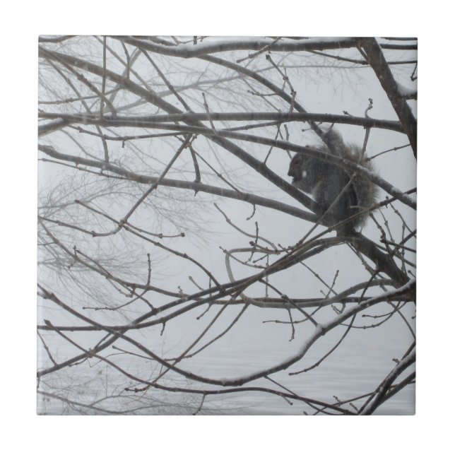 Eichhörnchen in der Schneezange Fliese (Vorderseite)