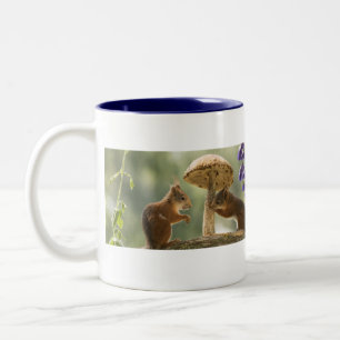Eichhörnchen in der Tasse der Pilze