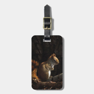 Eichhörnchen in einem Fleck Sonnenlicht Gepäckanhänger