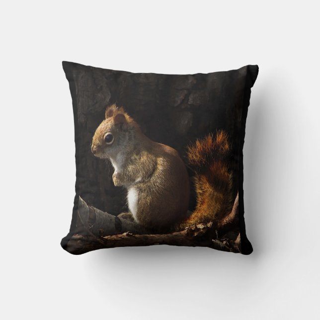 Eichhörnchen in einem Fleck Sonnenlicht Kissen (Vorderseite)