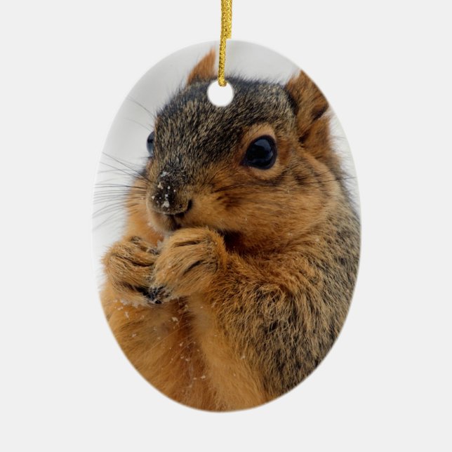 Eichhörnchen in Wonder Keramik Ornament (Vorne)