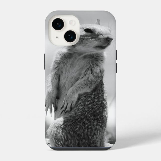 Eichhörnchen iPhone 14 Hülle (Rückseite)
