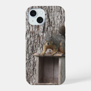 Eichhörnchen iPhone 15 Hülle
