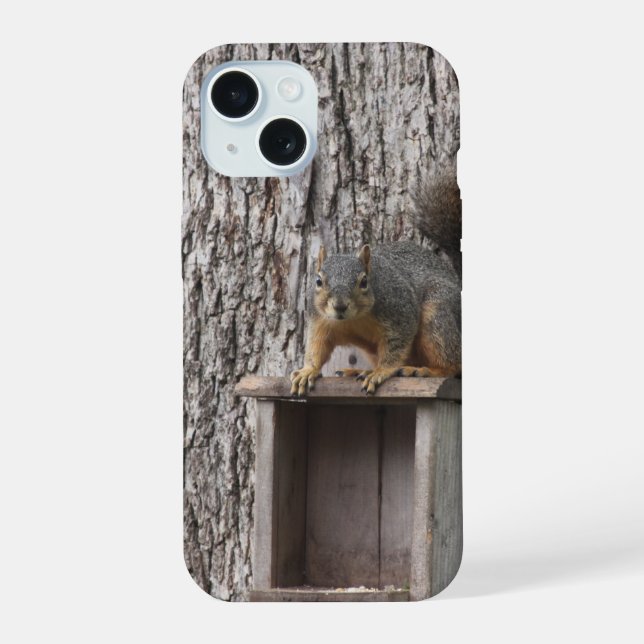 Eichhörnchen iPhone 15 Hülle (Rückseite)