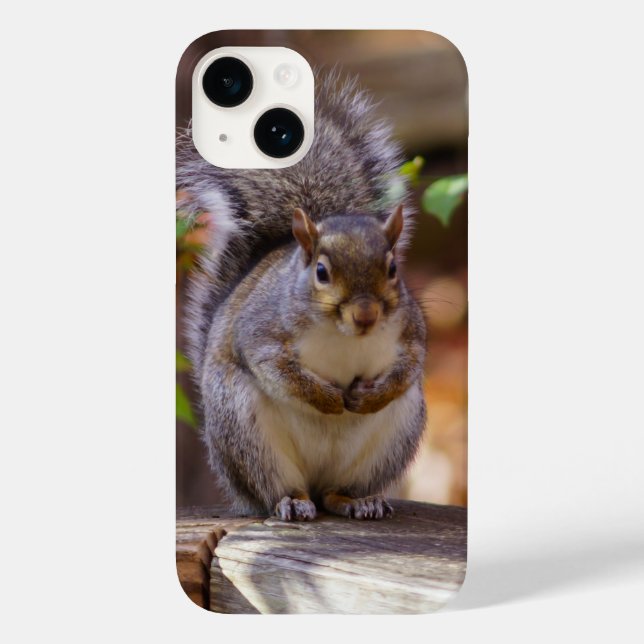 Eichhörnchen iPhone Case (Rückseite)