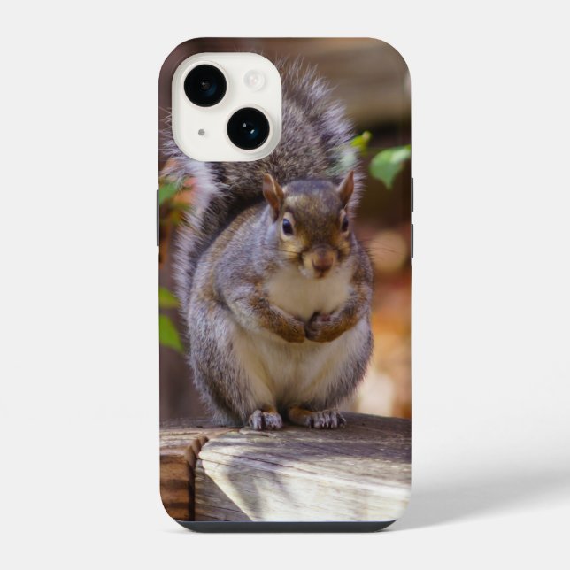 Eichhörnchen iPhone Case 14 Hülle (Rückseite)