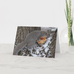 Eichhörnchen isst eine Winter-Leckerei Karte
