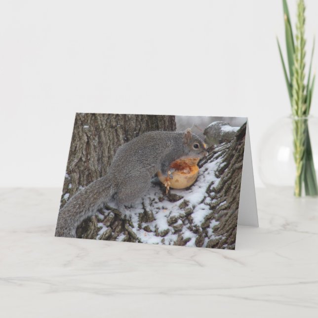 Eichhörnchen isst eine Winter-Leckerei Karte (Vorderseite)