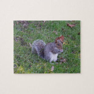Eichhörnchen Jigsaw Puzzle