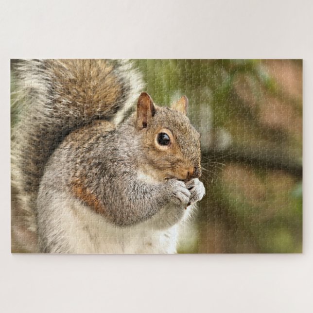 Eichhörnchen Jigsaw Puzzle (Horizontal)