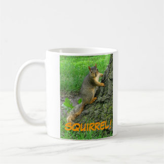 EICHHÖRNCHEN! KAFFEETASSE
