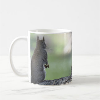 Eichhörnchen Kaffeetasse