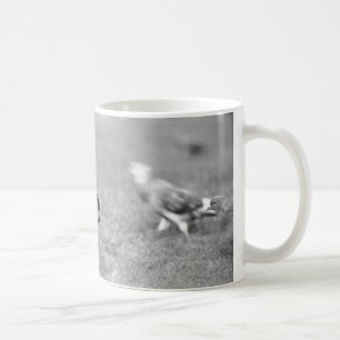 Eichhörnchen Kaffeetasse