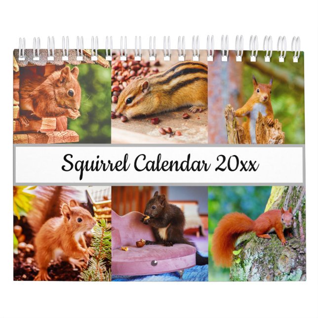 Eichhörnchen Kalender (Titelbild)