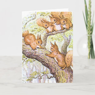 Eichhörnchen Karte