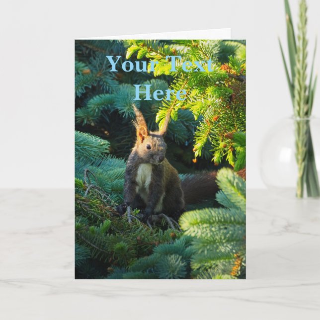 Eichhörnchen Karte (Vorderseite)