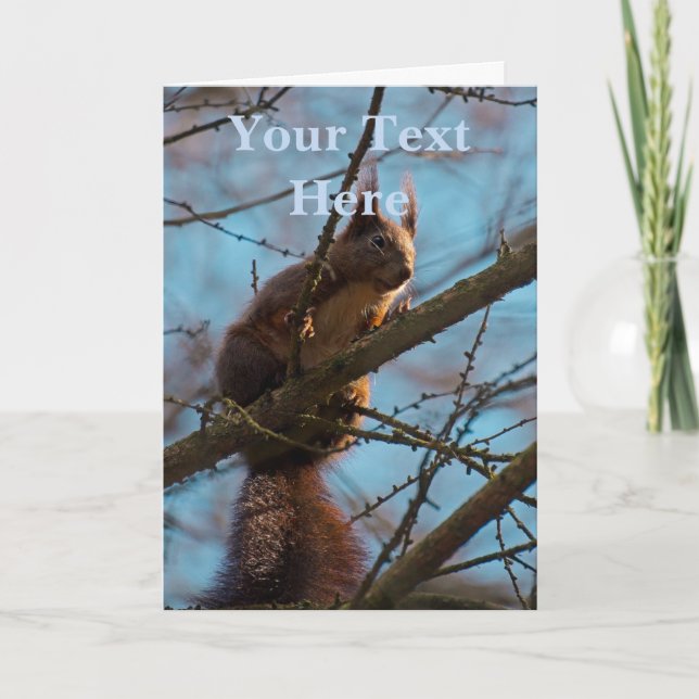 Eichhörnchen  karte (Vorderseite)