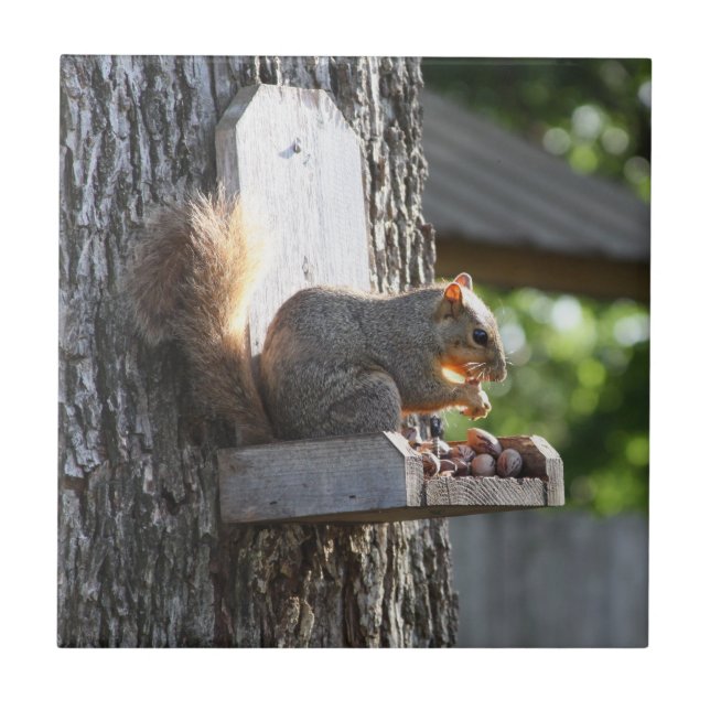 Eichhörnchen Keramik Fliese (Vorderseite)