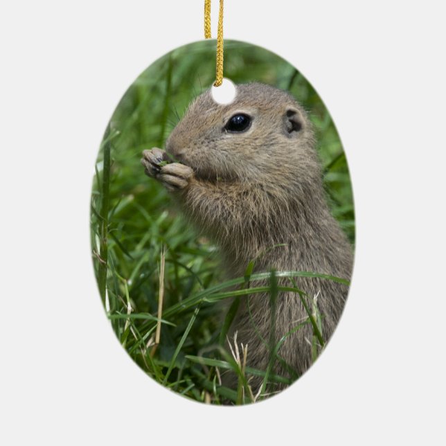 Eichhörnchen Keramik Ornament (Hinten)
