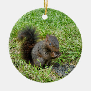 Eichhörnchen Keramik Ornament