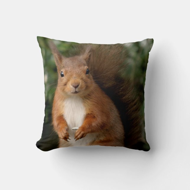Eichhörnchen Kissen/Kissen Kissen (Vorderseite)