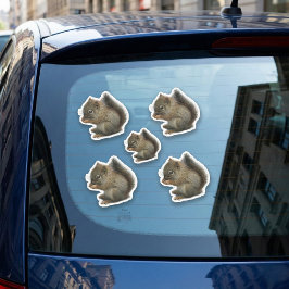 Eichhörnchen Kitten Stickers Aufkleber