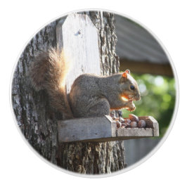 Eichhörnchen Knobs Keramikknauf