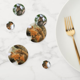 Eichhörnchen Konfetti