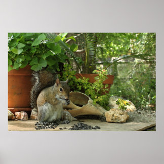 Eichhörnchen-Leckereien Poster -36x24 -andere Größ