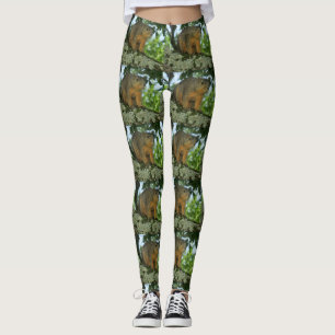 Eichhörnchen-Leggings Leggings
