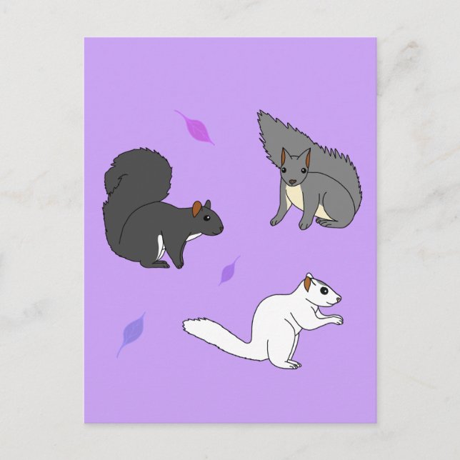 Eichhörnchen Lila Postkarte (Vorderseite)