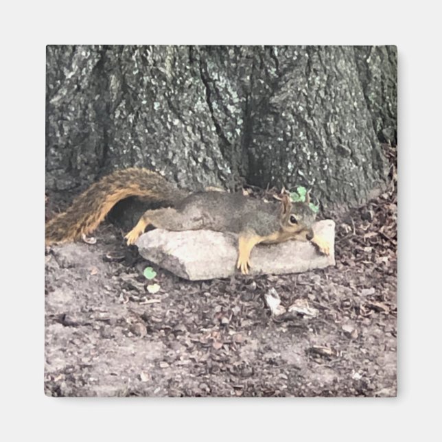 Eichhörnchen Magnet (Vorne)