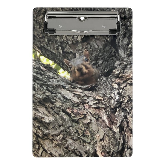 Eichhörnchen Mini Klemmbrett (Vorderseite)
