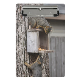 Eichhörnchen Mini Klemmbrett