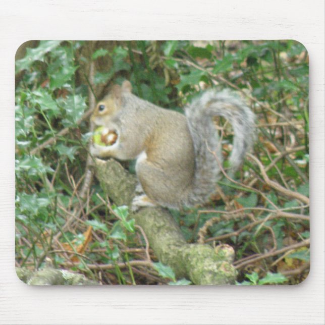 Eichhörnchen mit Acorn Mousepad (Vorne)